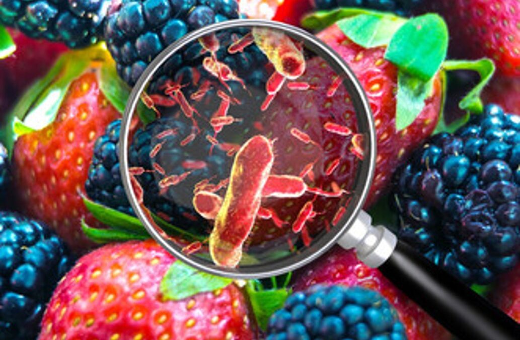 Is Your Food Safe to Eat?