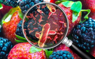 Is Your Food Safe to Eat?
